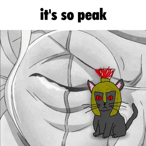 A black cat with red eyes wearing a green helmet sits in front of a grayscale anime face with the text it's so peak