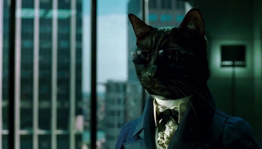 A black cat in a business suit removes sunglasses while talking to a pink creature.